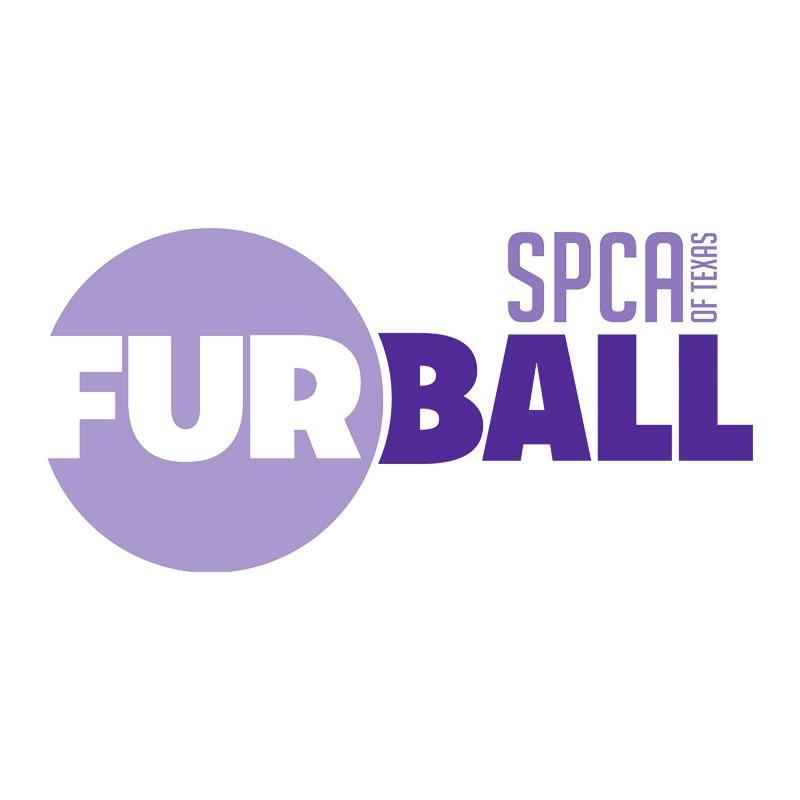 Fu7r Ball Logo
