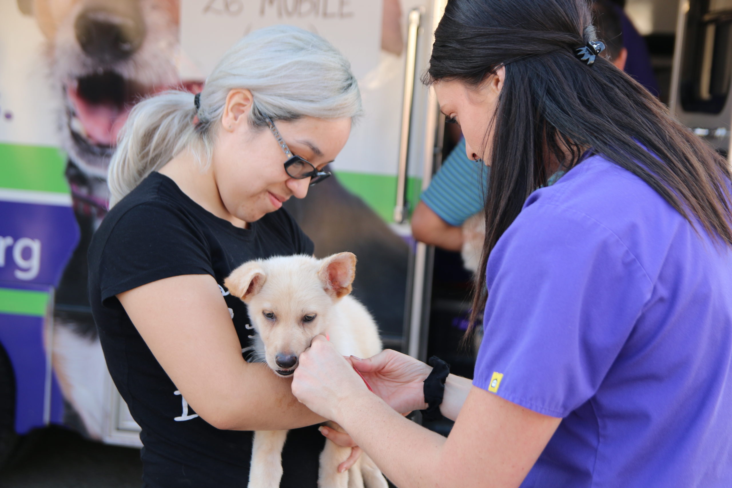 Spca vaccinations hot sale mobile clinic