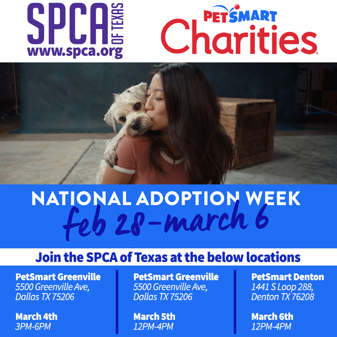 Three-day adoption event at PetSmart locations in San Antonio