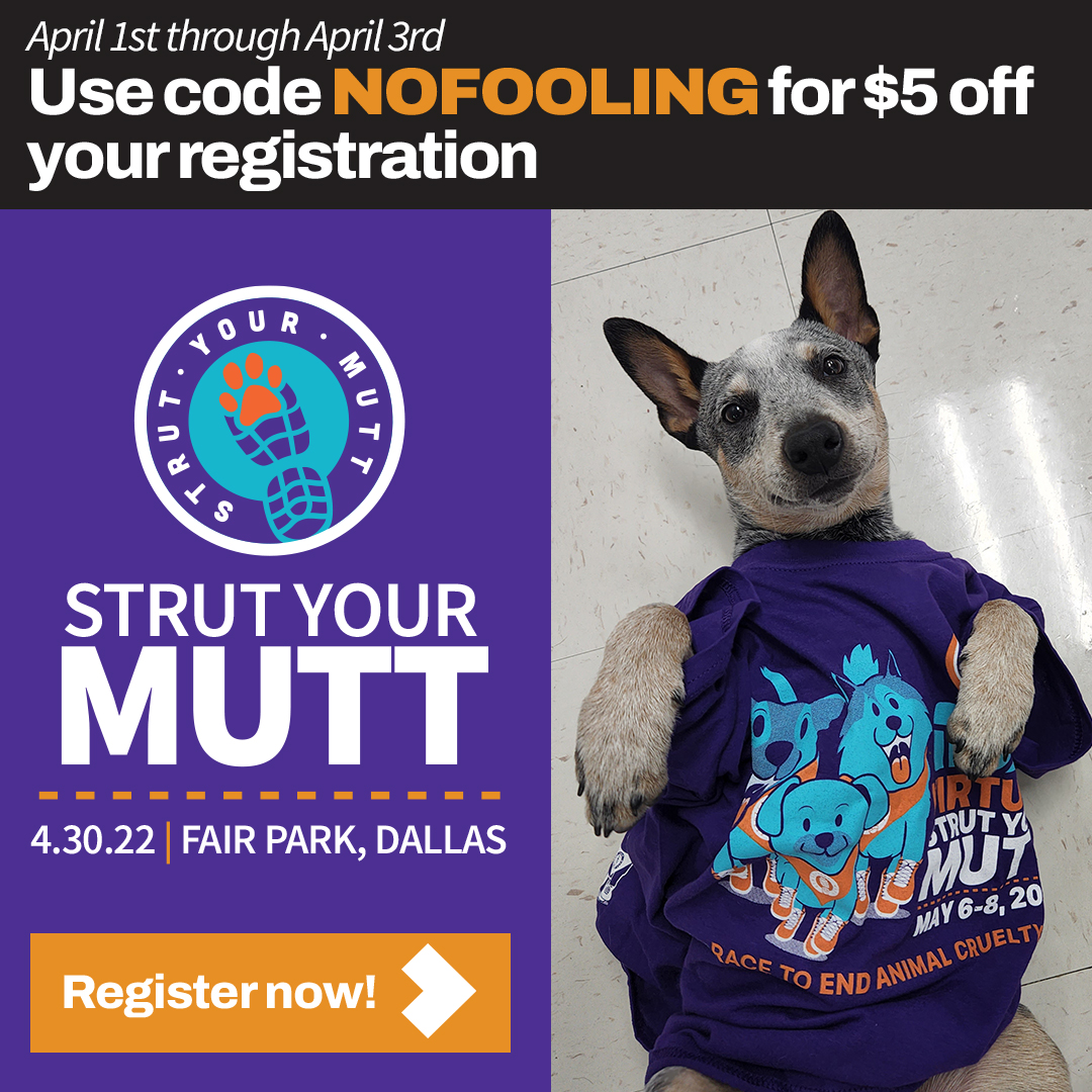 Spca strut sale your mutt