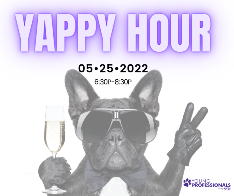 SPCA of Texas Young Professionals Happy Hour at Katy Trail Ice House SPCA of Texas
