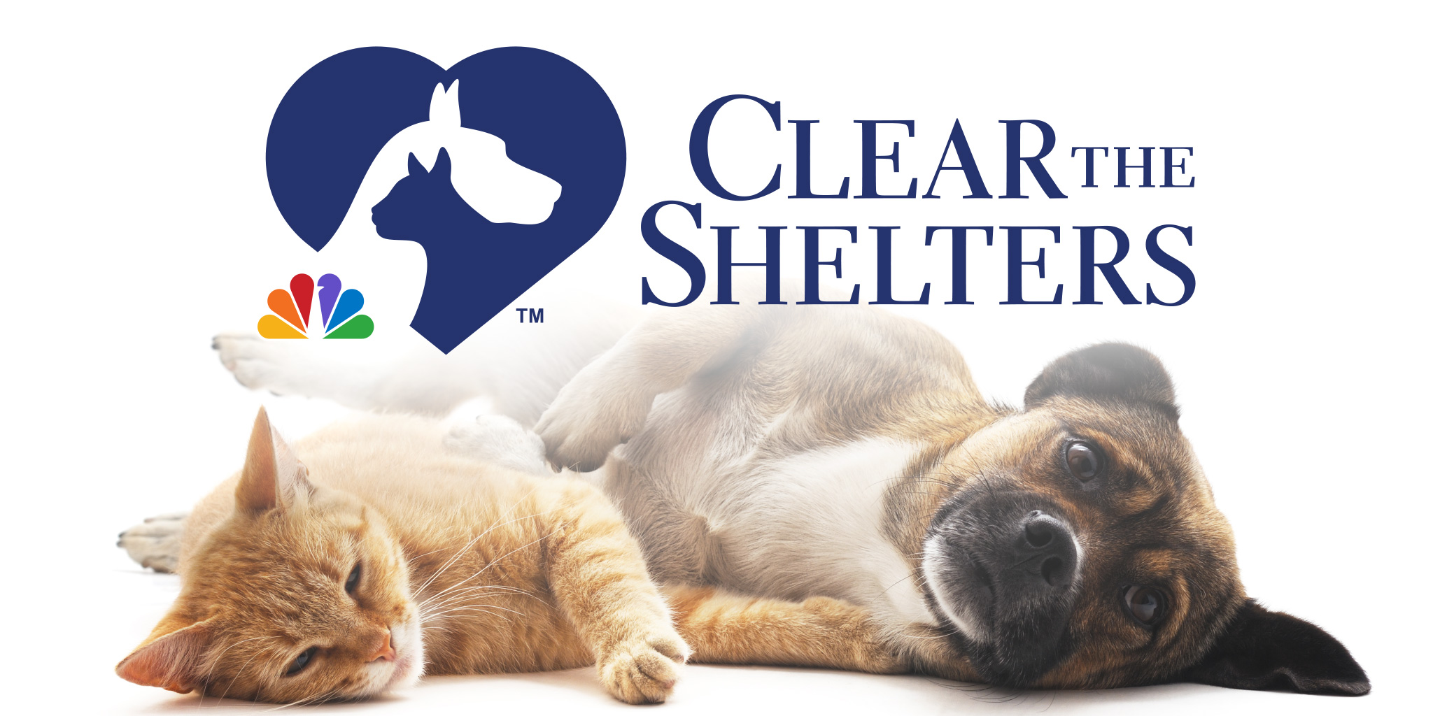 Clear the Shelters