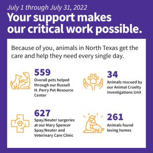 Your support makes our critical work possible graphic