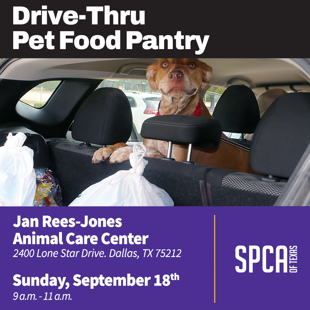 SPCA of Texas DriveThru Pet Food Pantry SPCA of Texas