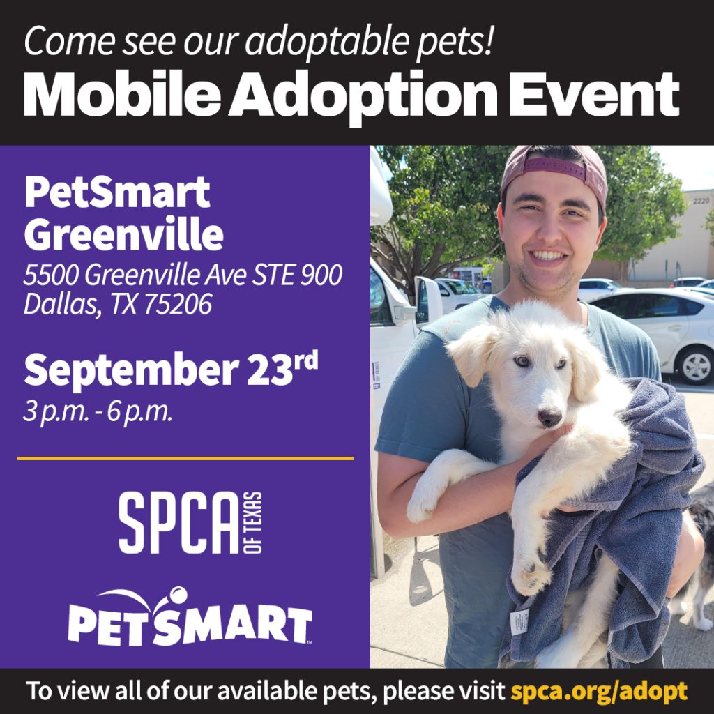 SPCA of Texas PetSmart on Greenville Ave Mobile Adoptions SPCA of