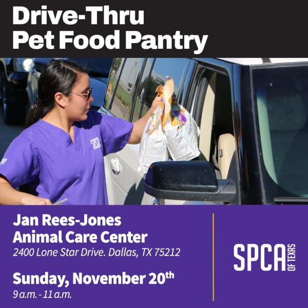 SPCA of Texas Drive Thru Pet Food Pantry SPCA of Texas