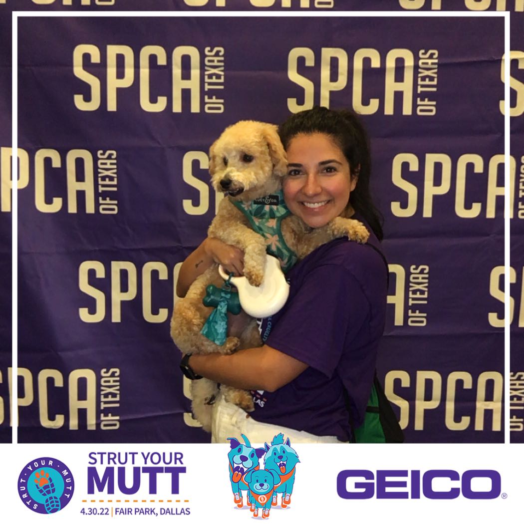 Spca Of Texas 