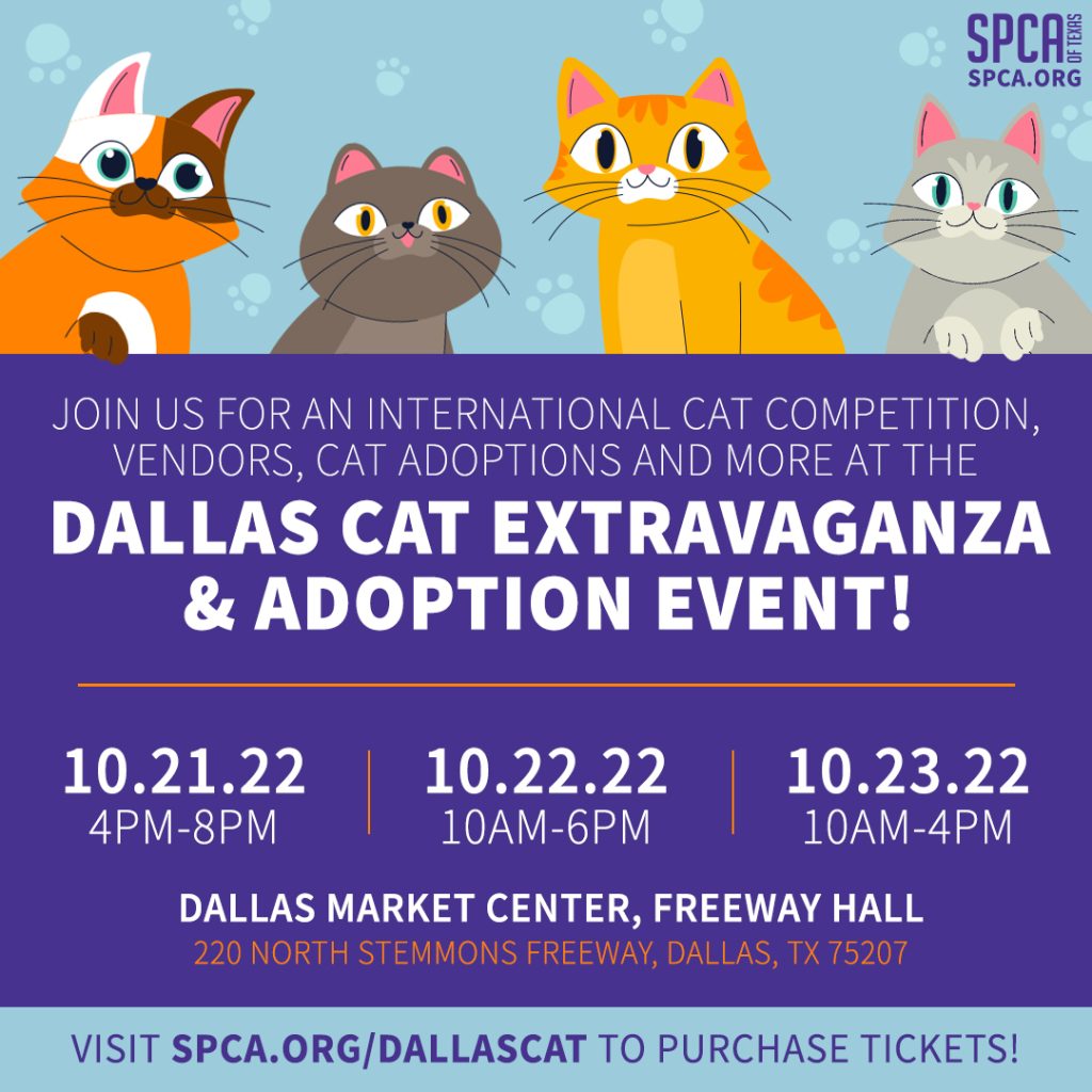 SPCA of Texas Dallas Cat Extravaganza and Adoption Event SPCA of Texas