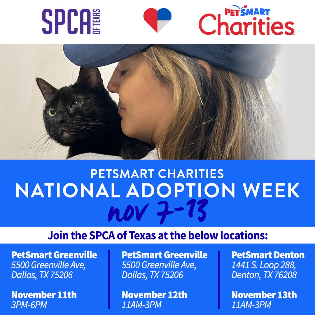 PetSmart National Adoption Week November 2022