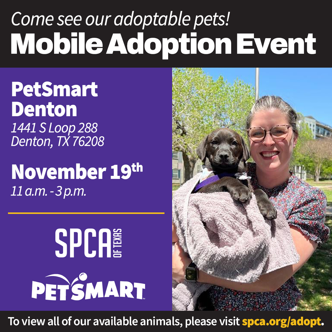 PetSmart Denton Mobile Adoptions November 19th