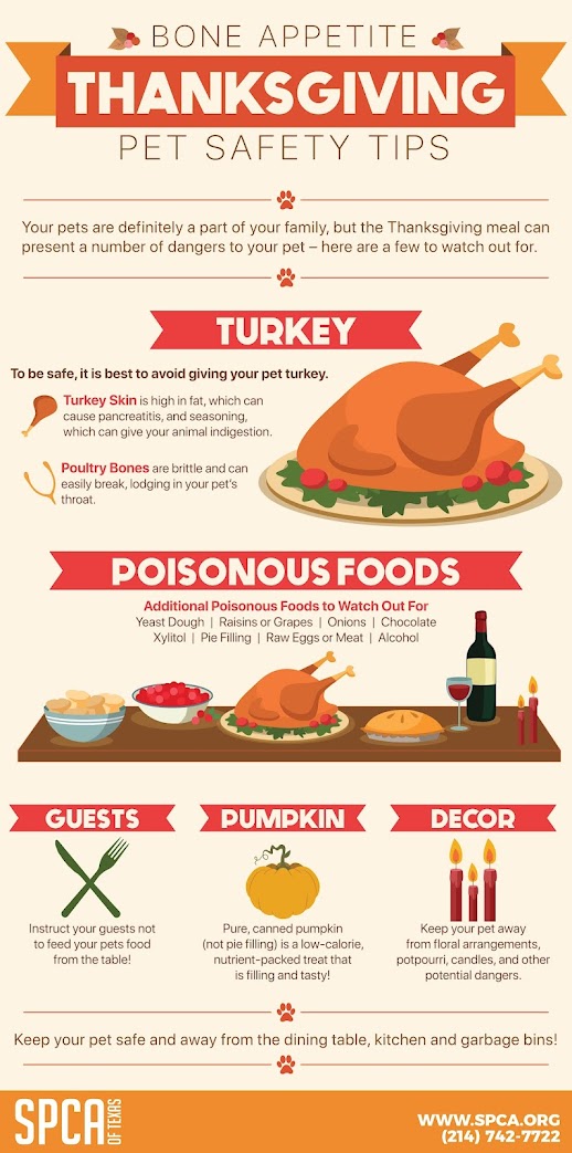 Thanksgiving Pet Safety Infographic