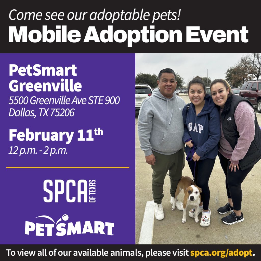 SPCA of Texas Mobile Adoptions at PetSmart Greenville SPCA of Texas
