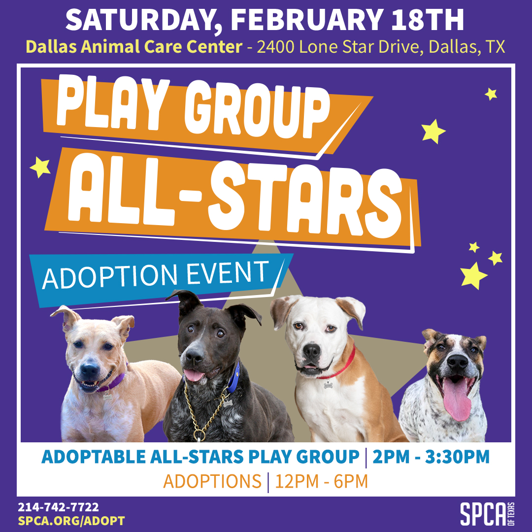 Play Group All Stars Event Feb 18 2023
