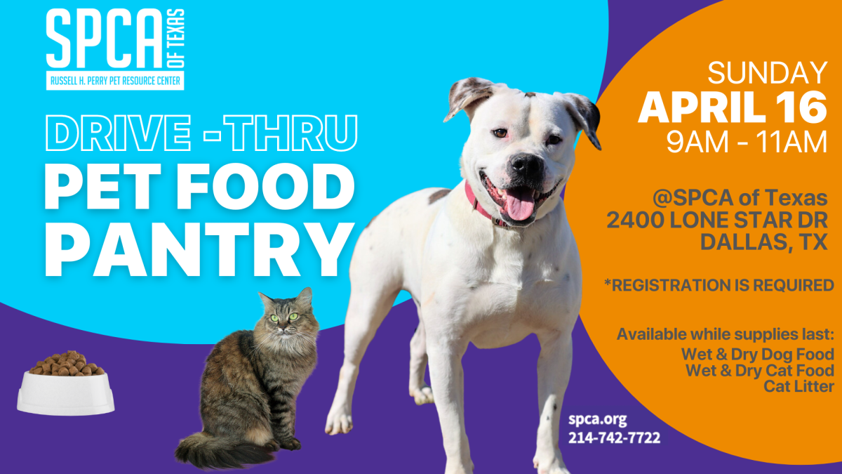 SPCA of Texas Drive Thru Pet Food Pantry SPCA of Texas