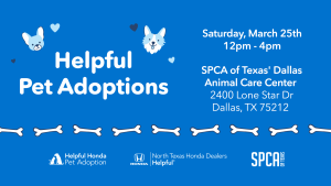Helpful Pet Adoptions 3/25