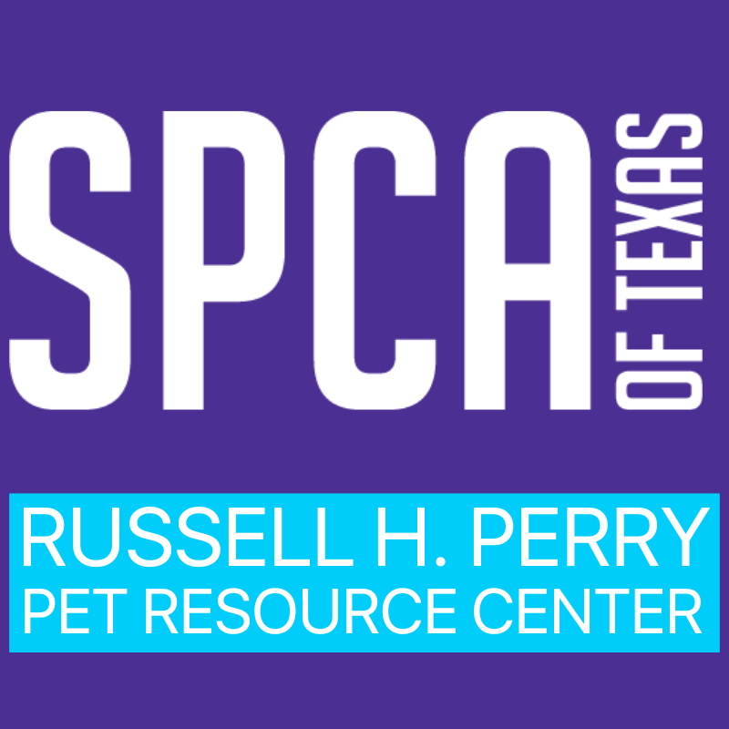 SPCA of Texas  Choosing the Right Toys for Your Dog - SPCA of Texas
