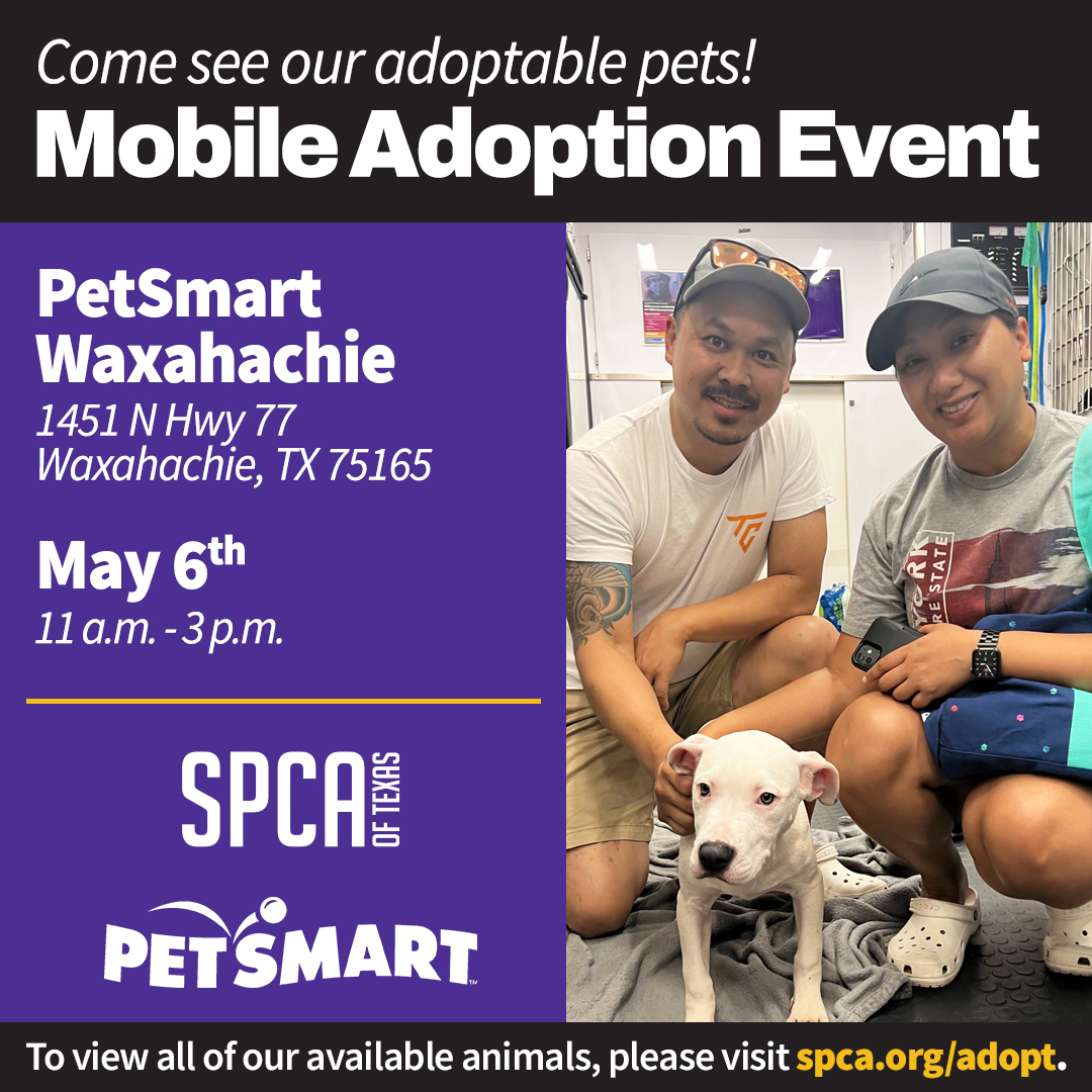 Mobile Adoptions PetSmart Waxahachie 5.6.23