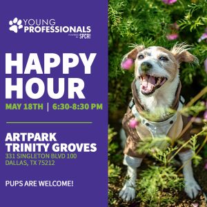 YP Happy Hour at Trinity Groves ArtPark May 18