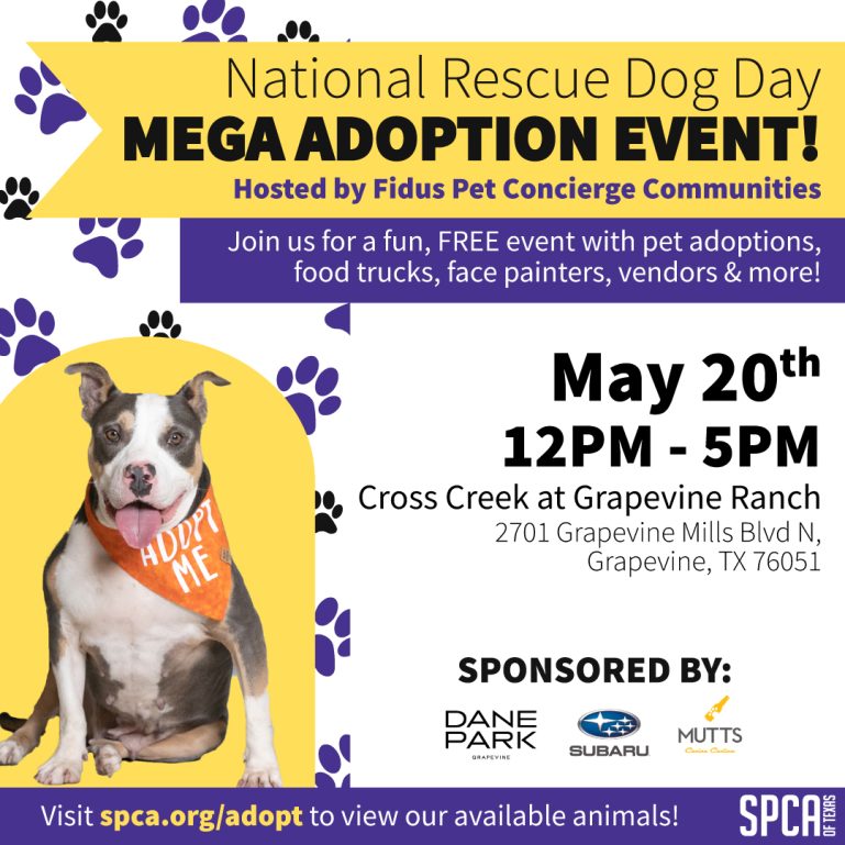 SPCA of Texas National Rescue Dog Day Mega Adoption Event SPCA of Texas