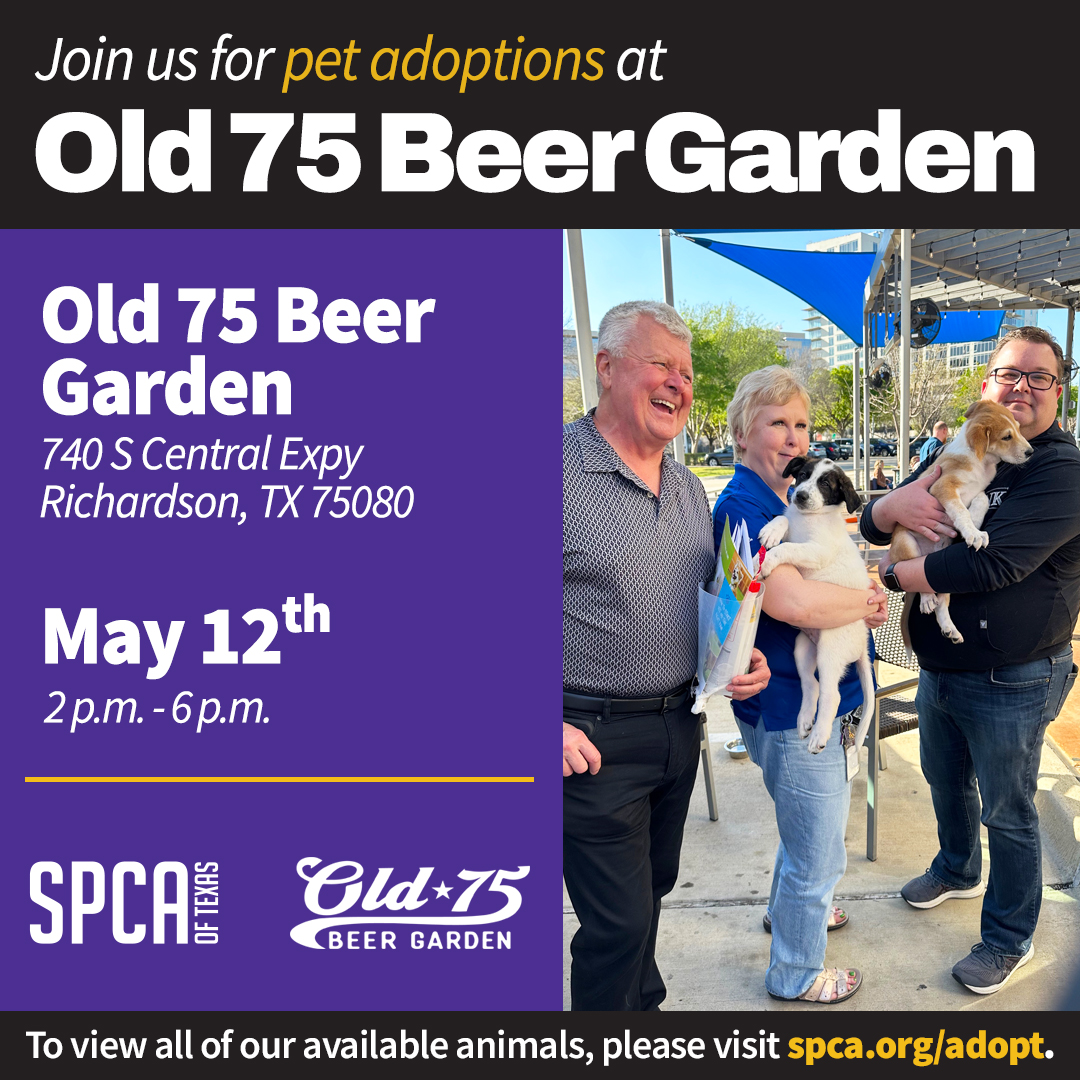 Old 75 Beer Garden Mobile Adoptions 5.12.23