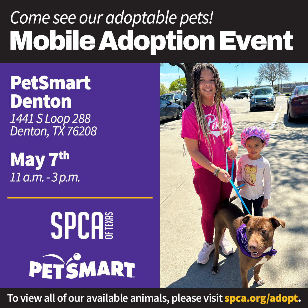 PetSmart Denton Mobile Adoptions 5.3.23