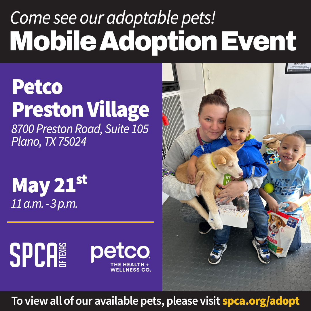Mobile Adoptions at Petco Preston Village 5/21/23
