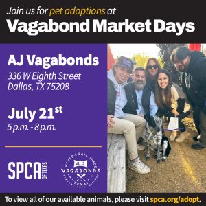 Mobile Adoptions at AJ Vagabonds 7/21/23