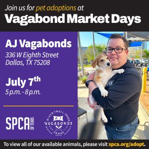 Mobile Adoptions AJ Vagabonds 7/7/23