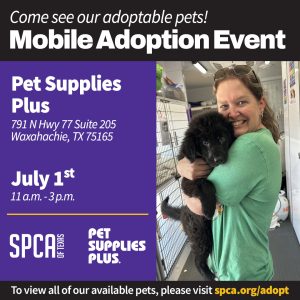 Mobile Adoptions Pet Supplies Plus July 1st