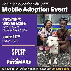 Mobile Adoptions at PetSmart Waxahachie 6.10.23