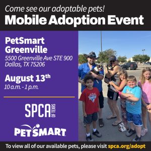 PetSmart Greenville Ave 8/13/23