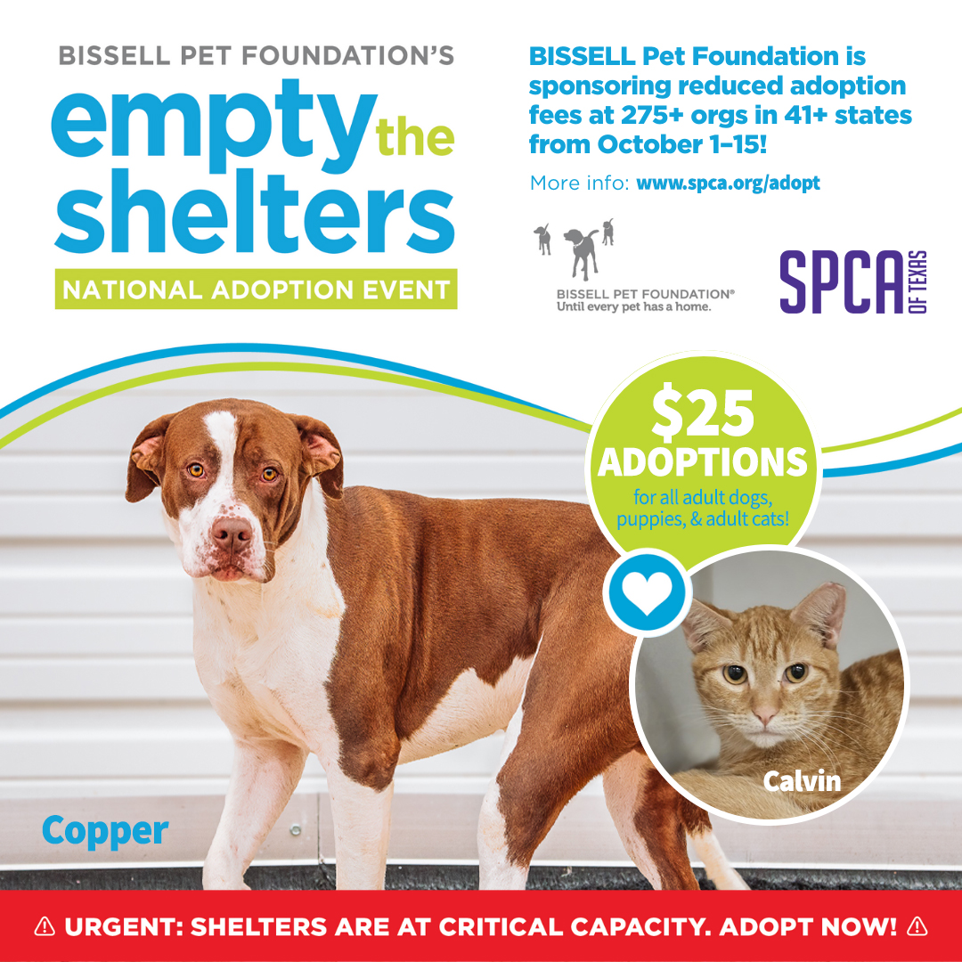 Bissell Empty the Shelters October 2023