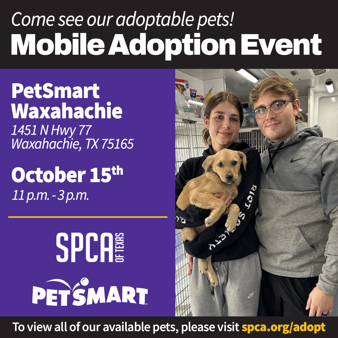 mobile adoptions at petsmart waxahachie 10.15.23