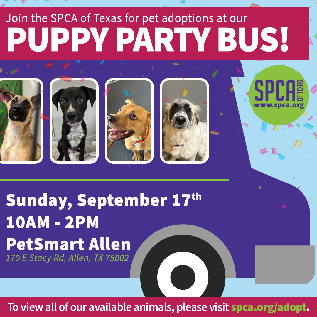 Puppy Party Bus Sept 17