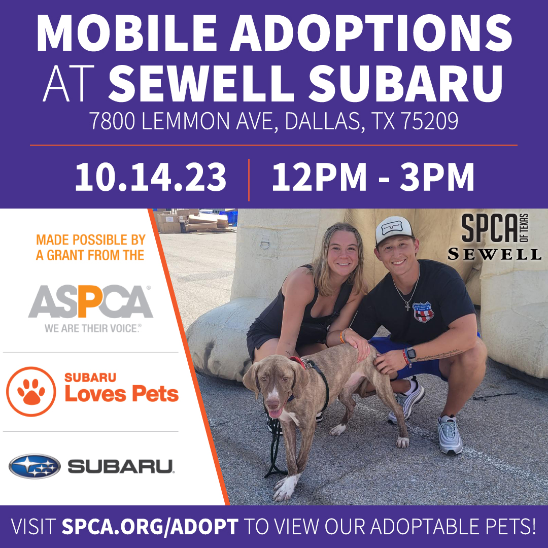 Sewell Subaru Mobile Adoptions 10.14.23