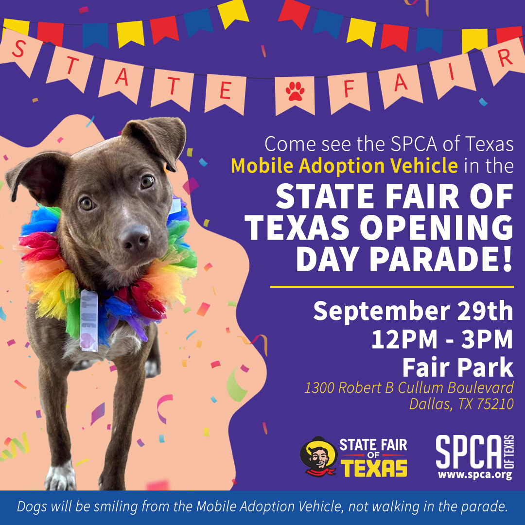 State Fair of Texas - Opening Day Parade