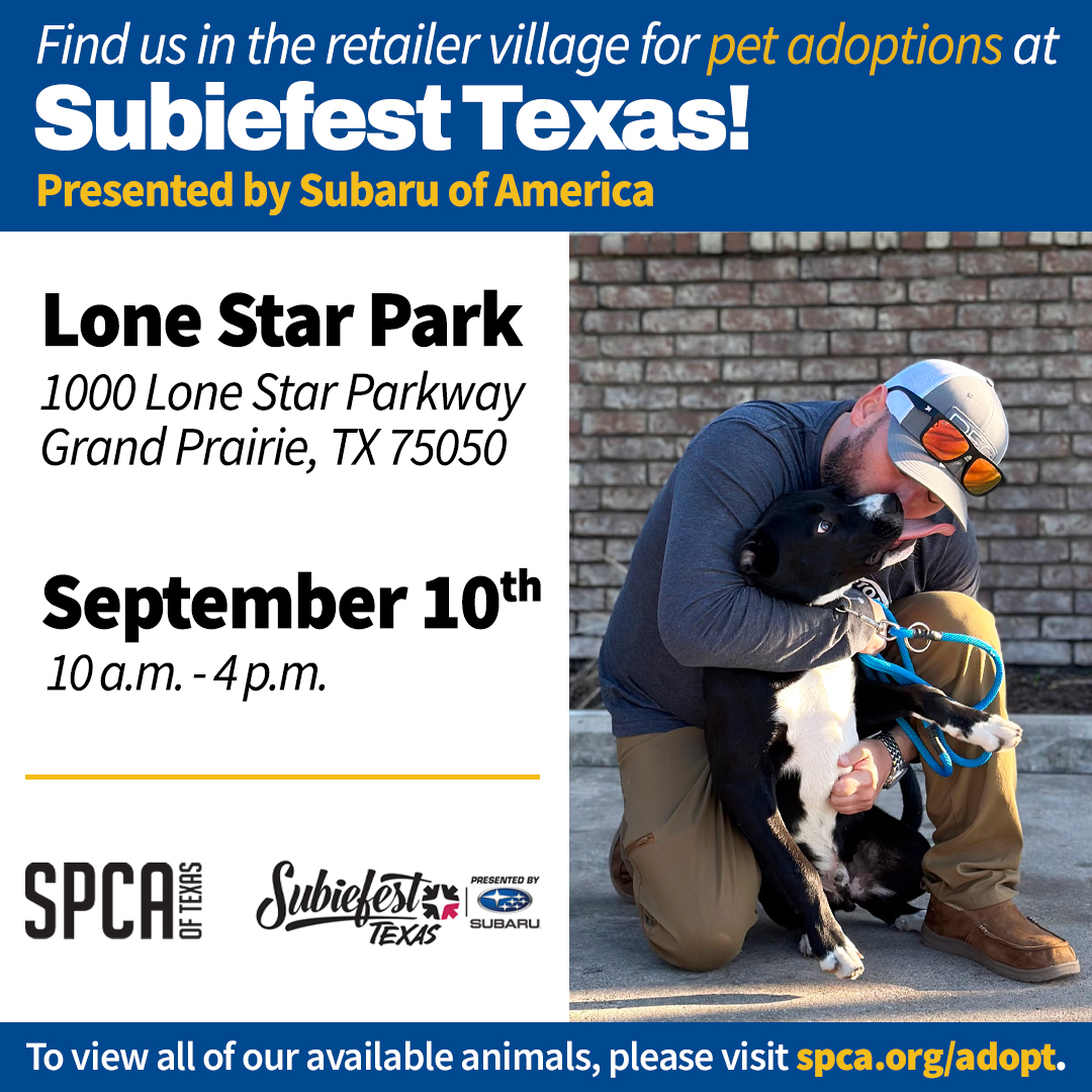 Subiefest Mobile Adoptions 9.10.23