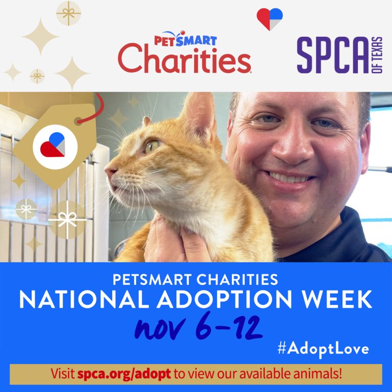 SPCA of Texas PetSmart Charities National Adoption Week SPCA of Texas
