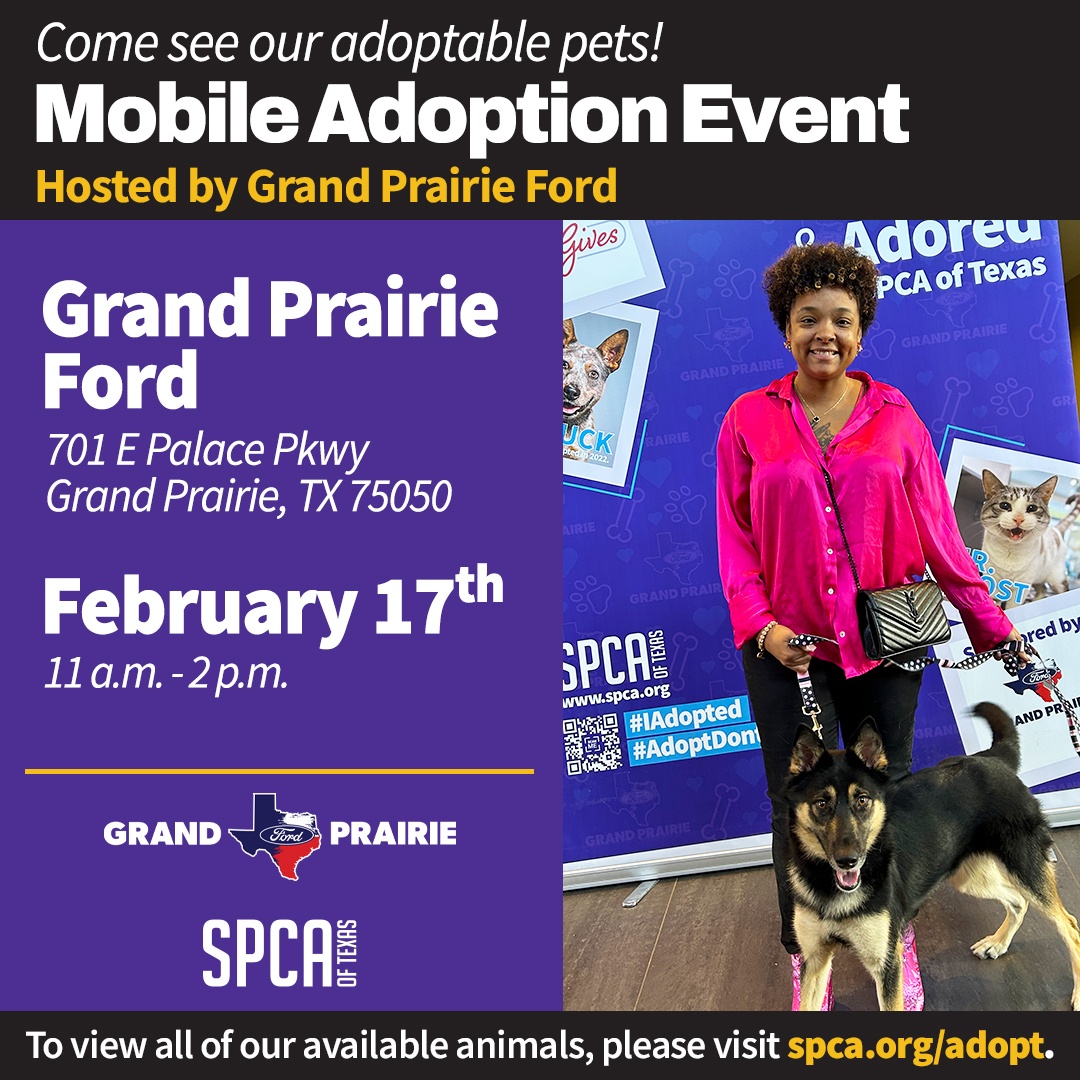 Grand Prairie Ford Mobile Event February 17 2024