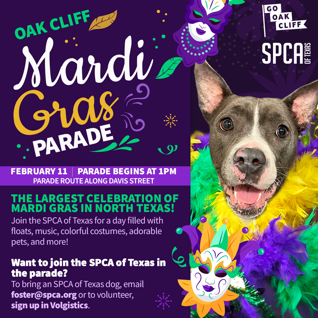 Oak Cliff Mardi Gras Parade 2024