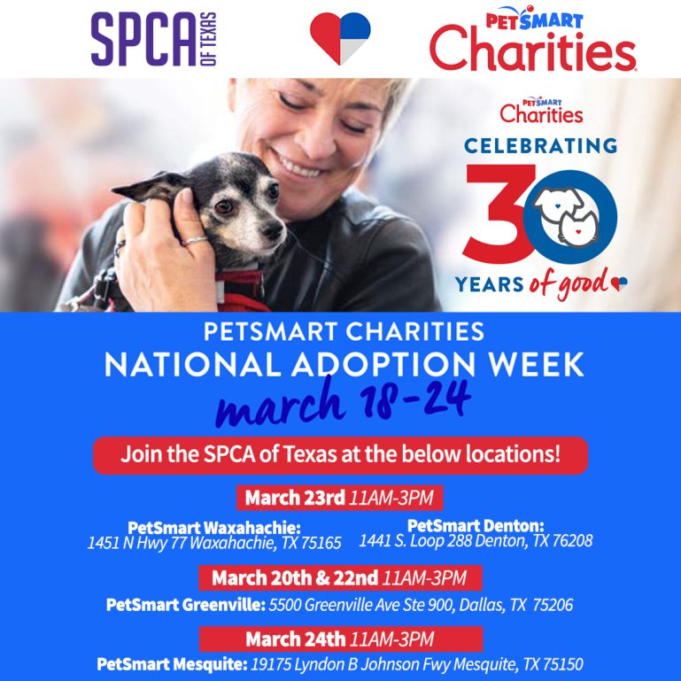 SPCA of Texas PetSmart Charities National Adoption Week SPCA of Texas