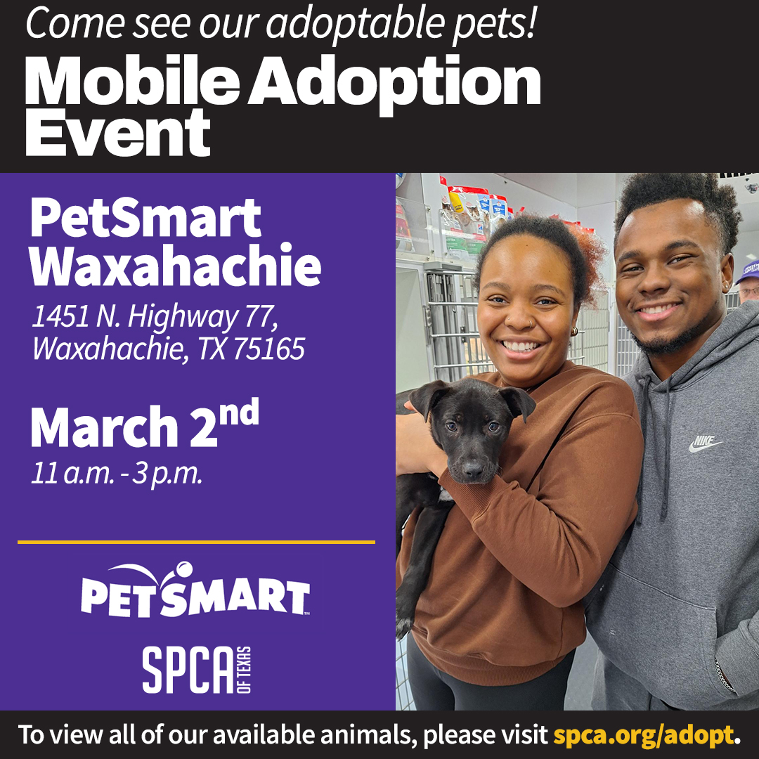PetSmart Waxahachie March 2, 2024 Mobile Adoptions