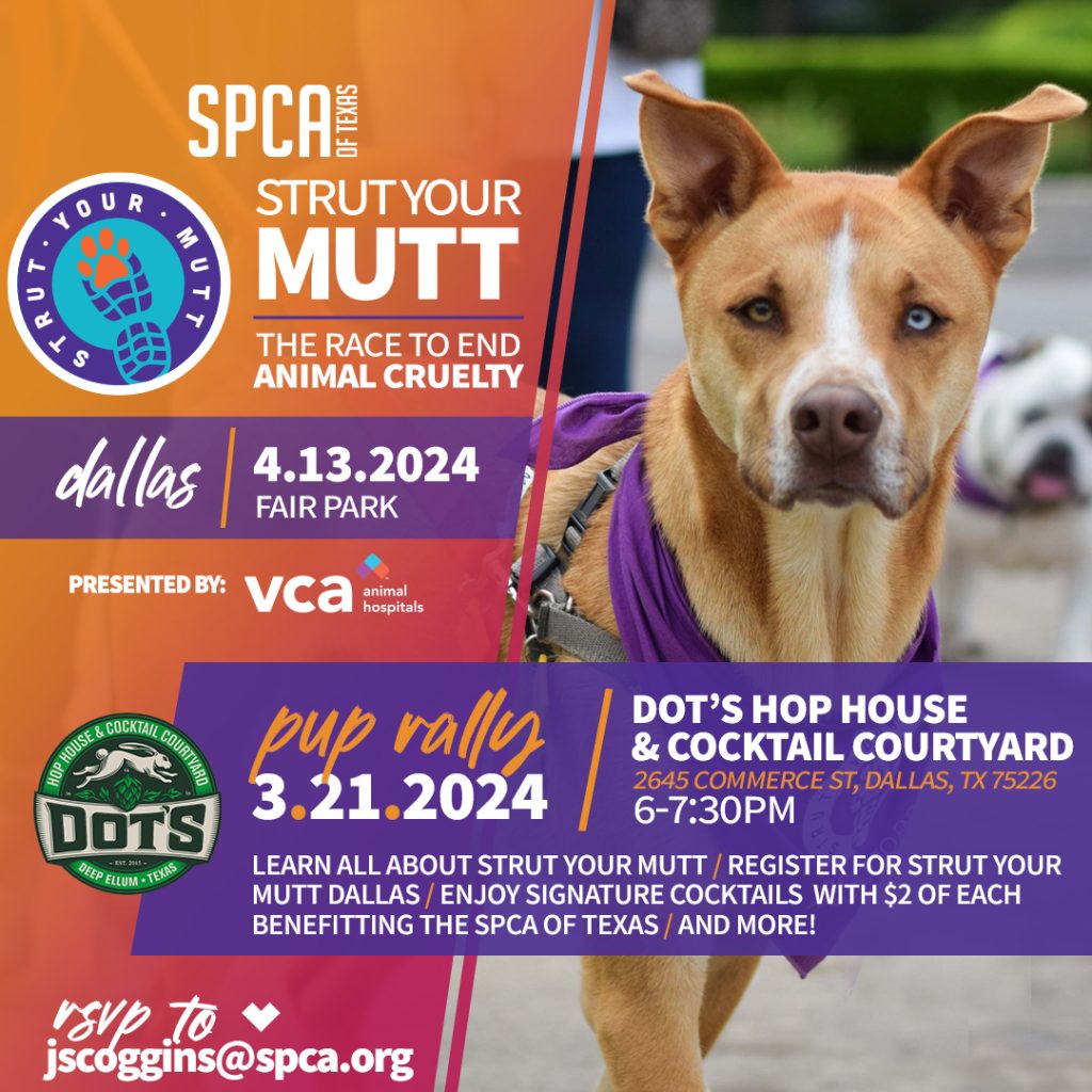 SPCA of Texas Strut Your Mutt Pup Rally At Dot's Hop House & Cocktail