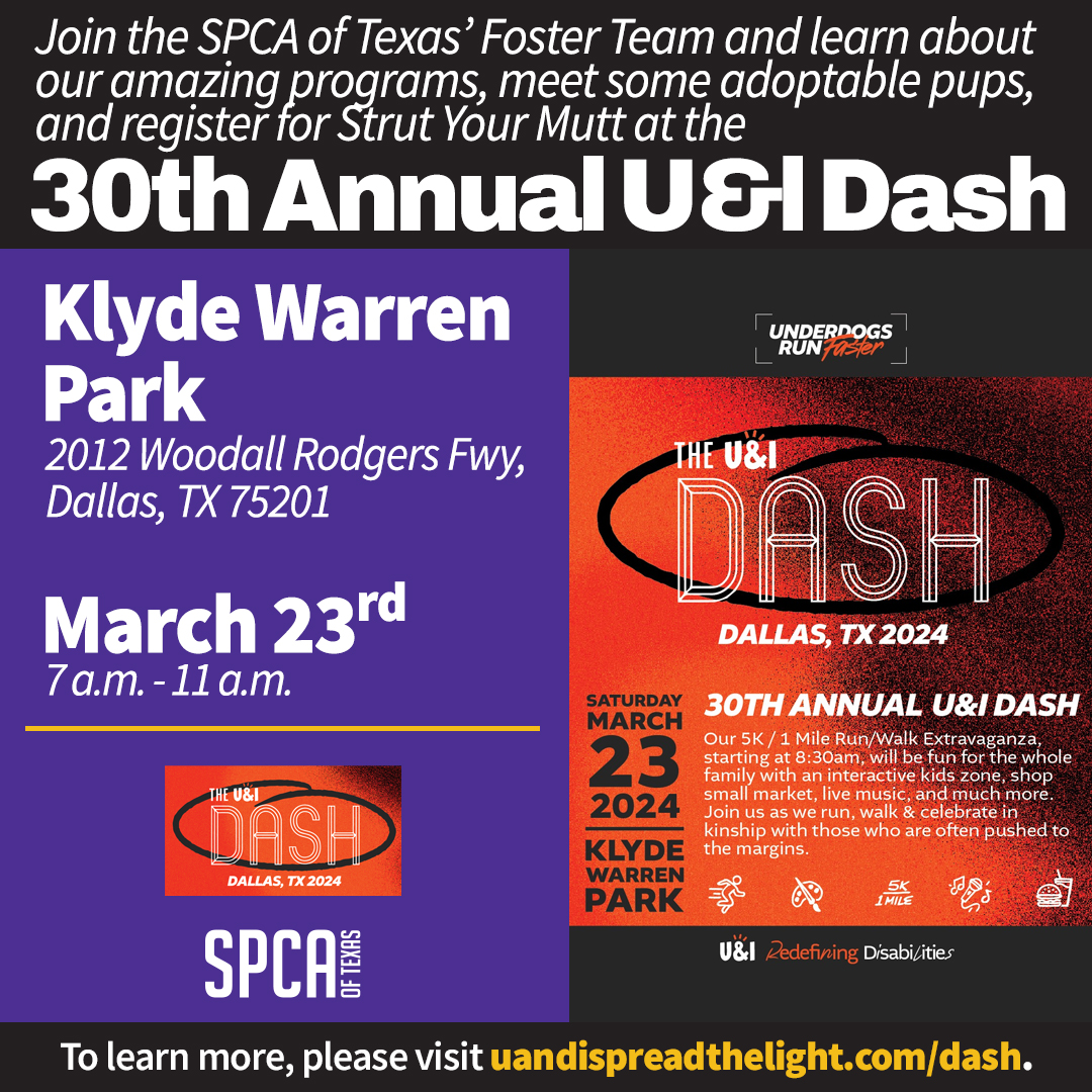 U&I Dash SPCA of Texas March 23, 2024