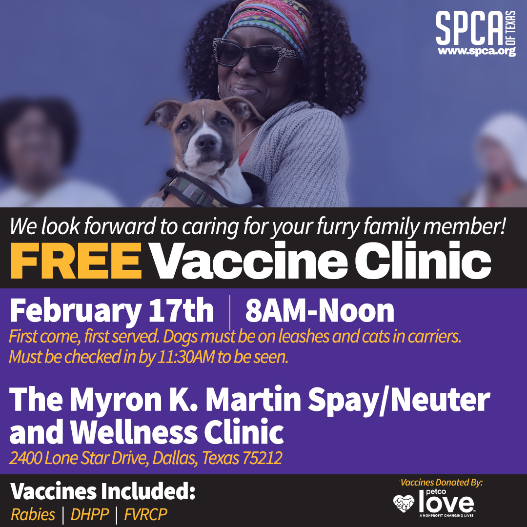 Free Vaccine Clinic Feb 2024