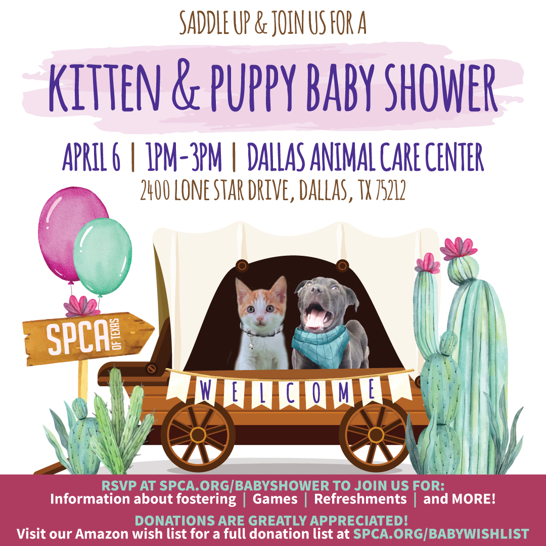 SPCA of Texas' Kitten and Puppy Baby Shower