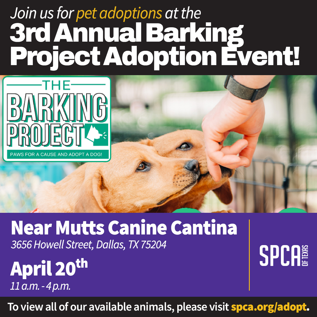 Mobile Adoptions at the Barking Project