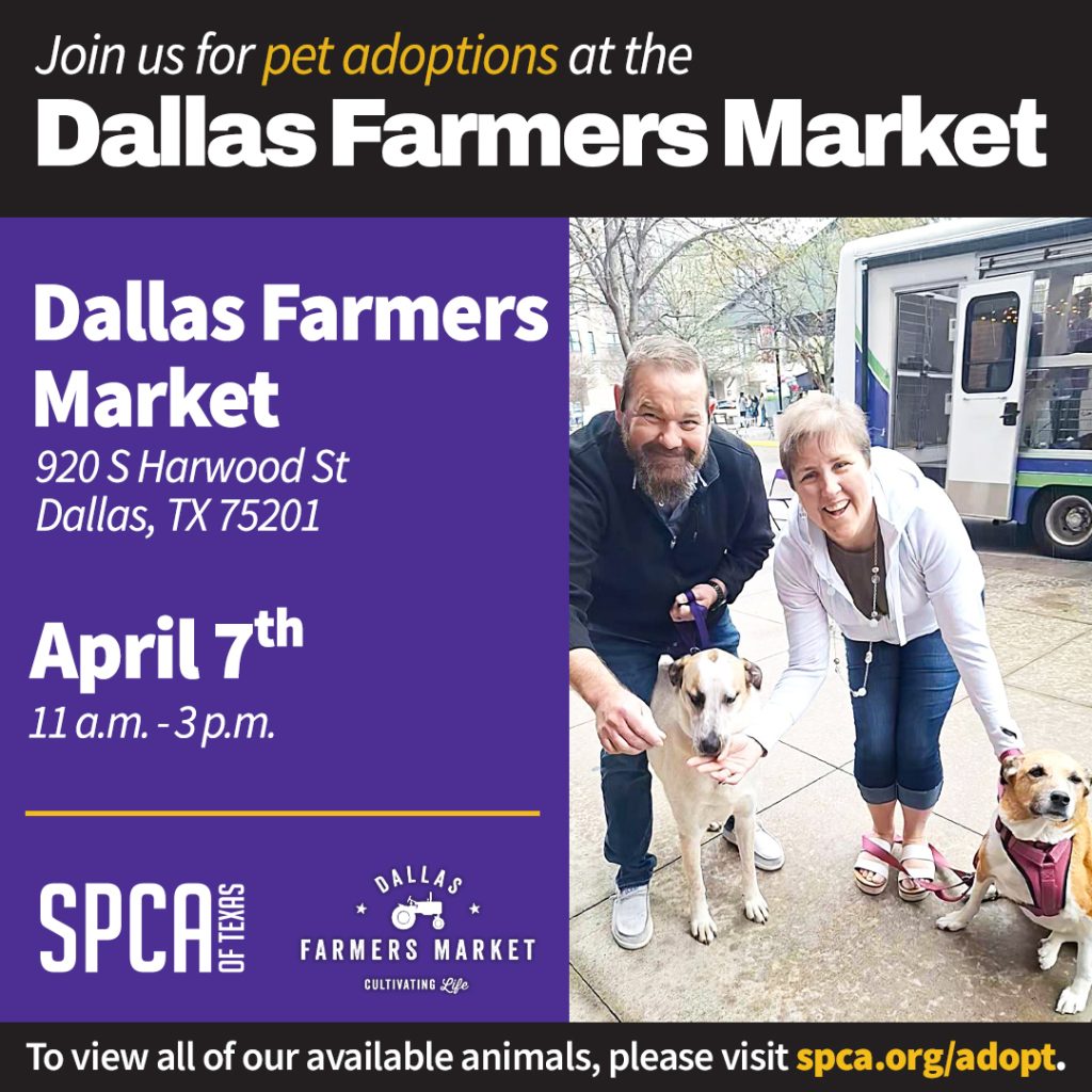 SPCA of Texas | Mobile Adoptions at Dallas Farmers Market - SPCA of Texas