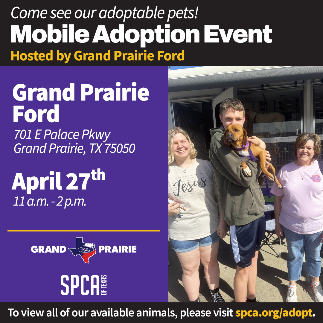 Mobile Adoptions at Grand Prairie Ford April 27 2024