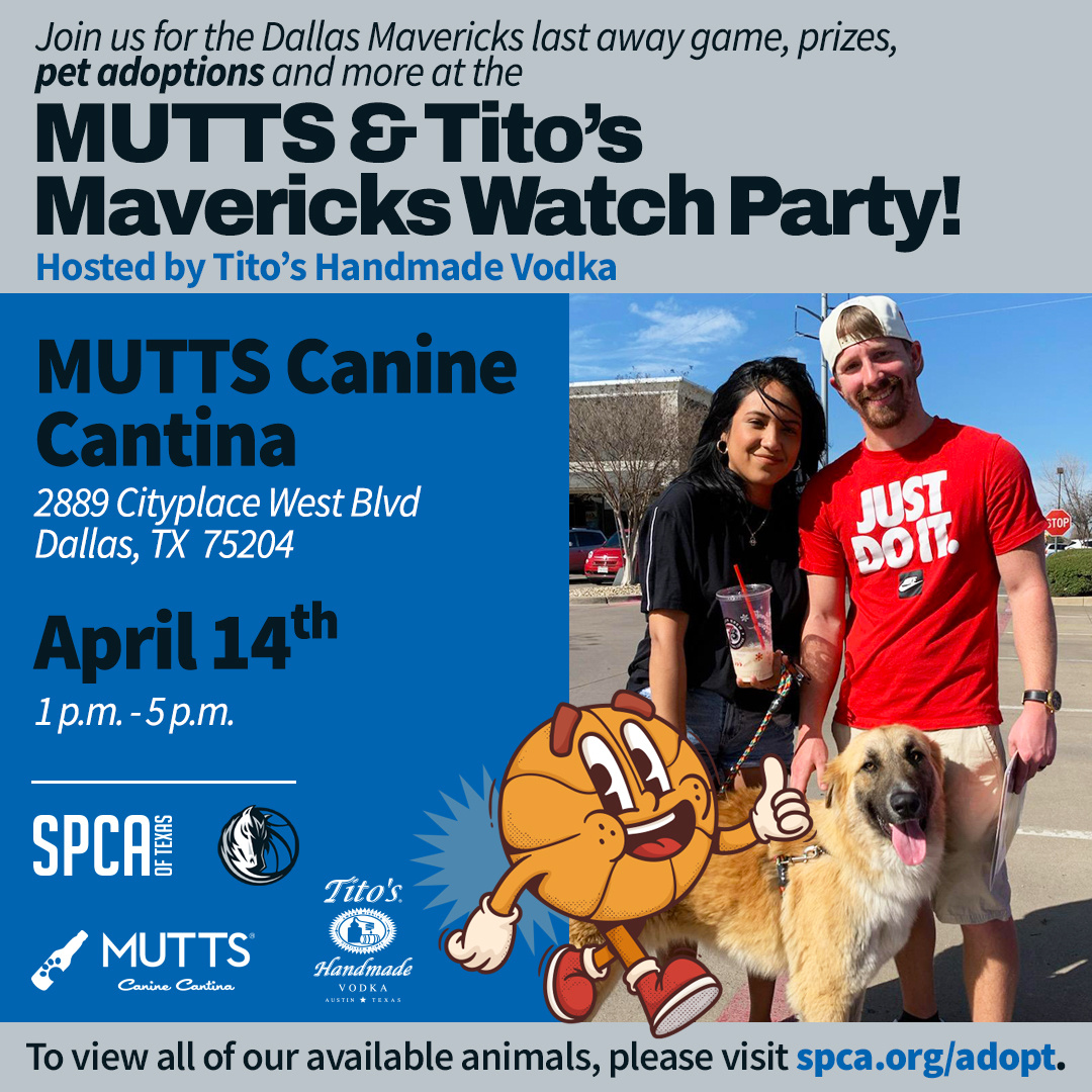 Mutt's, Tito's Maverick's watch party mobile adoptions